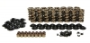 LS1 LS2 LS3 DUAL VAVLE SPRING KIT .650-.665 LIFT 