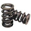 Valve Springs 