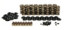 LS1 LS2 LS3 DUAL VAVLE SPRING KIT .650-.665 LIFT 